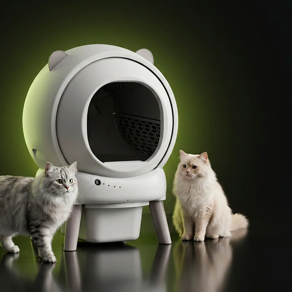 Le Zenko Halo et deux chats